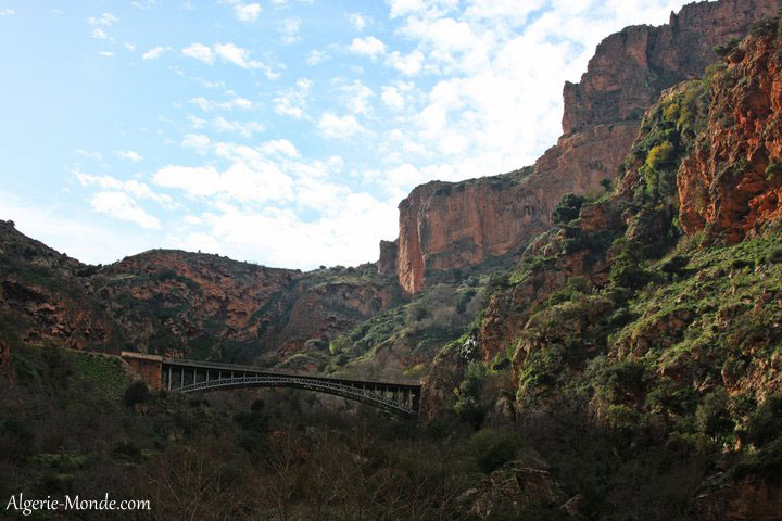 El Ourit Tlemcen