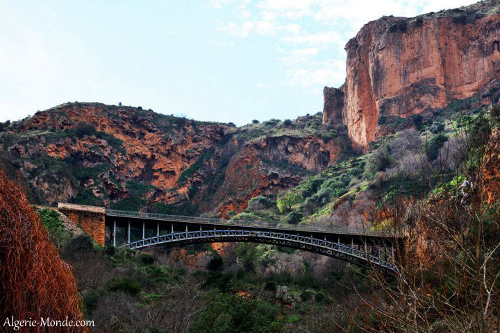 El Ourit Tlemcen
