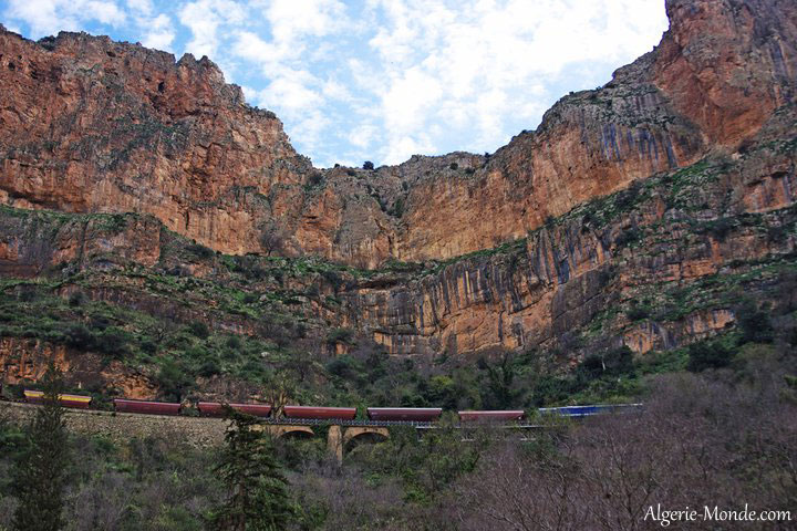 El Ourit Tlemcen
