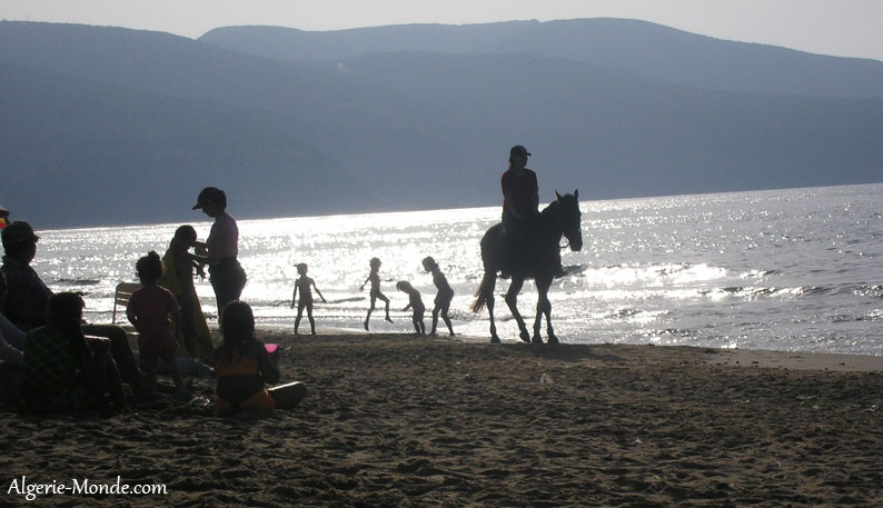 Plage Les Andalouses