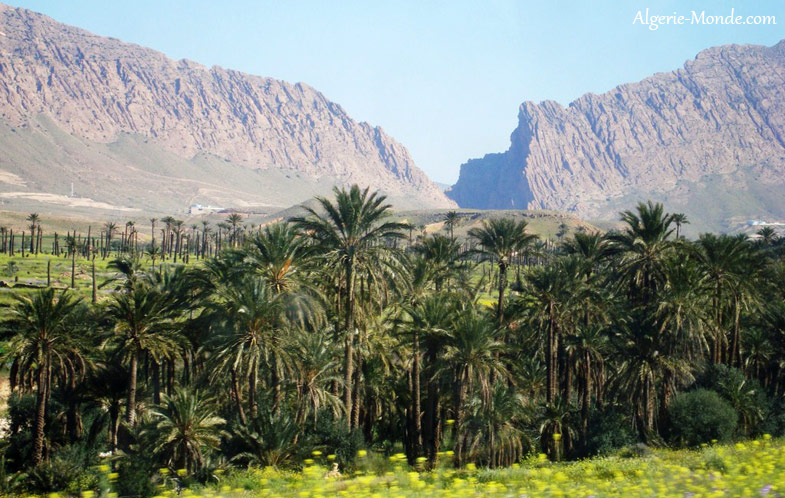Vue de loin d'El Kantara Biskra